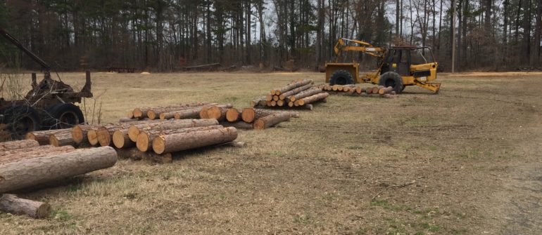 Sawmill – Selecting Logs